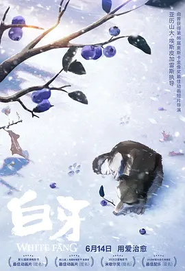 伊人网伊人